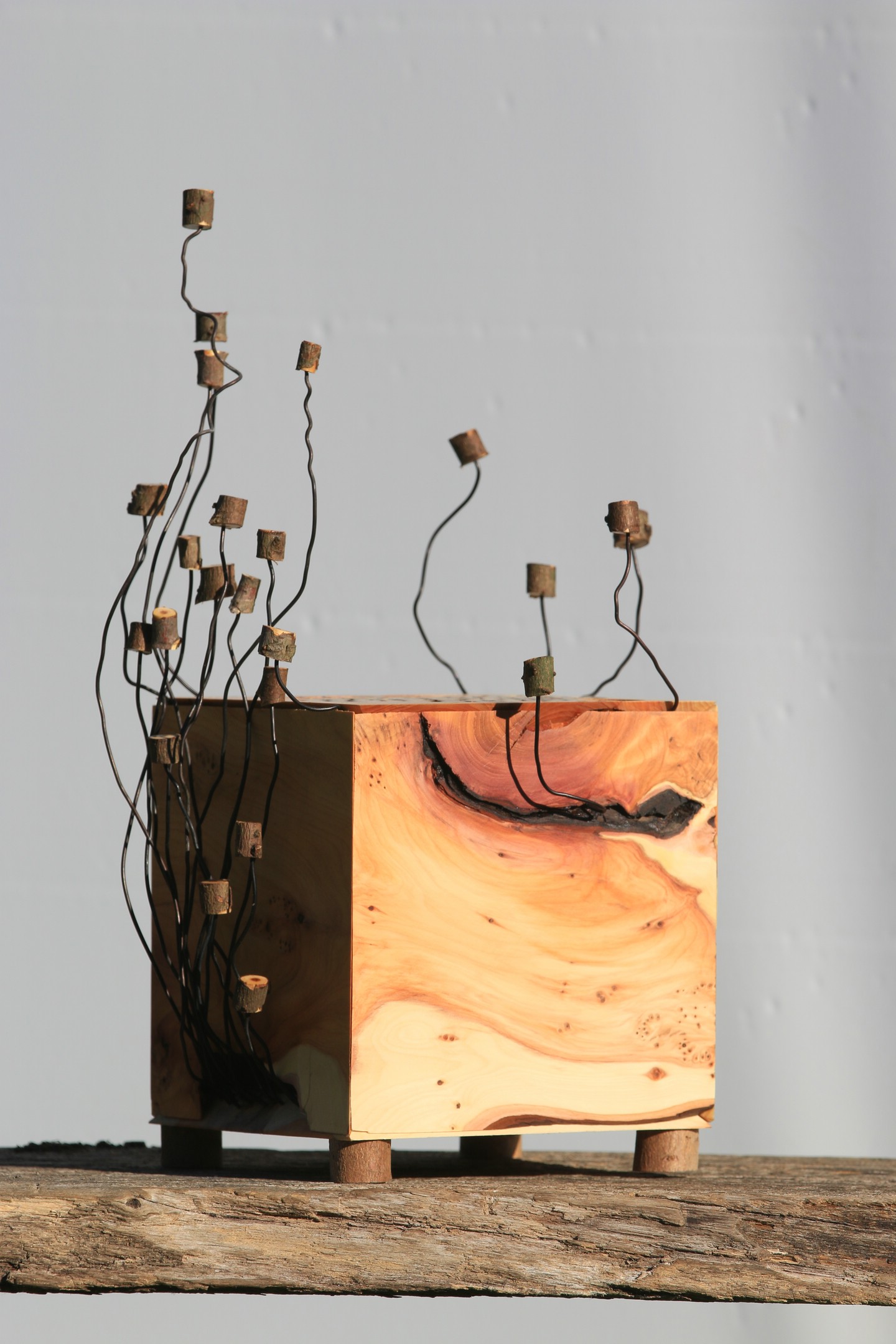 Cube6_005