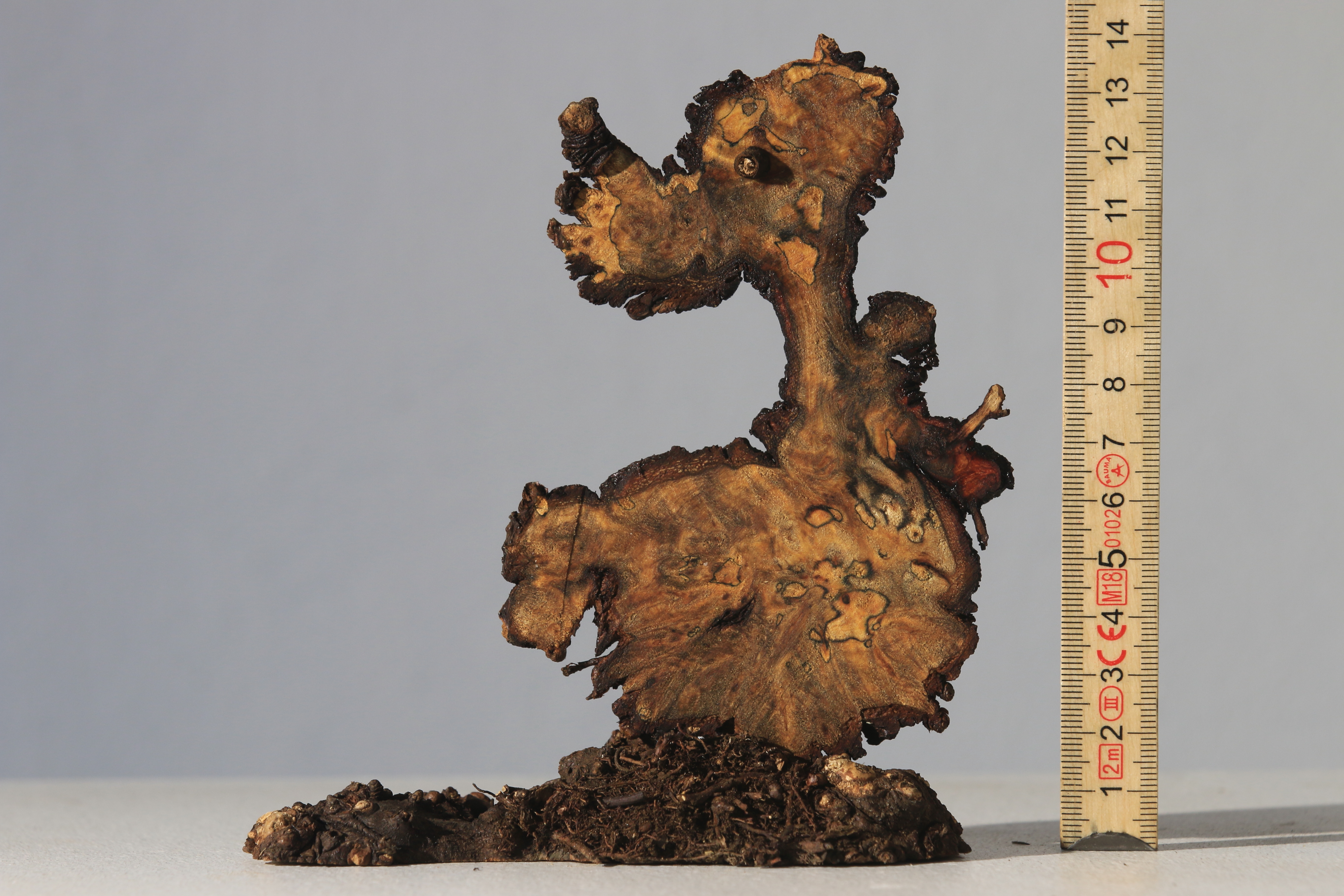 wooddog_02