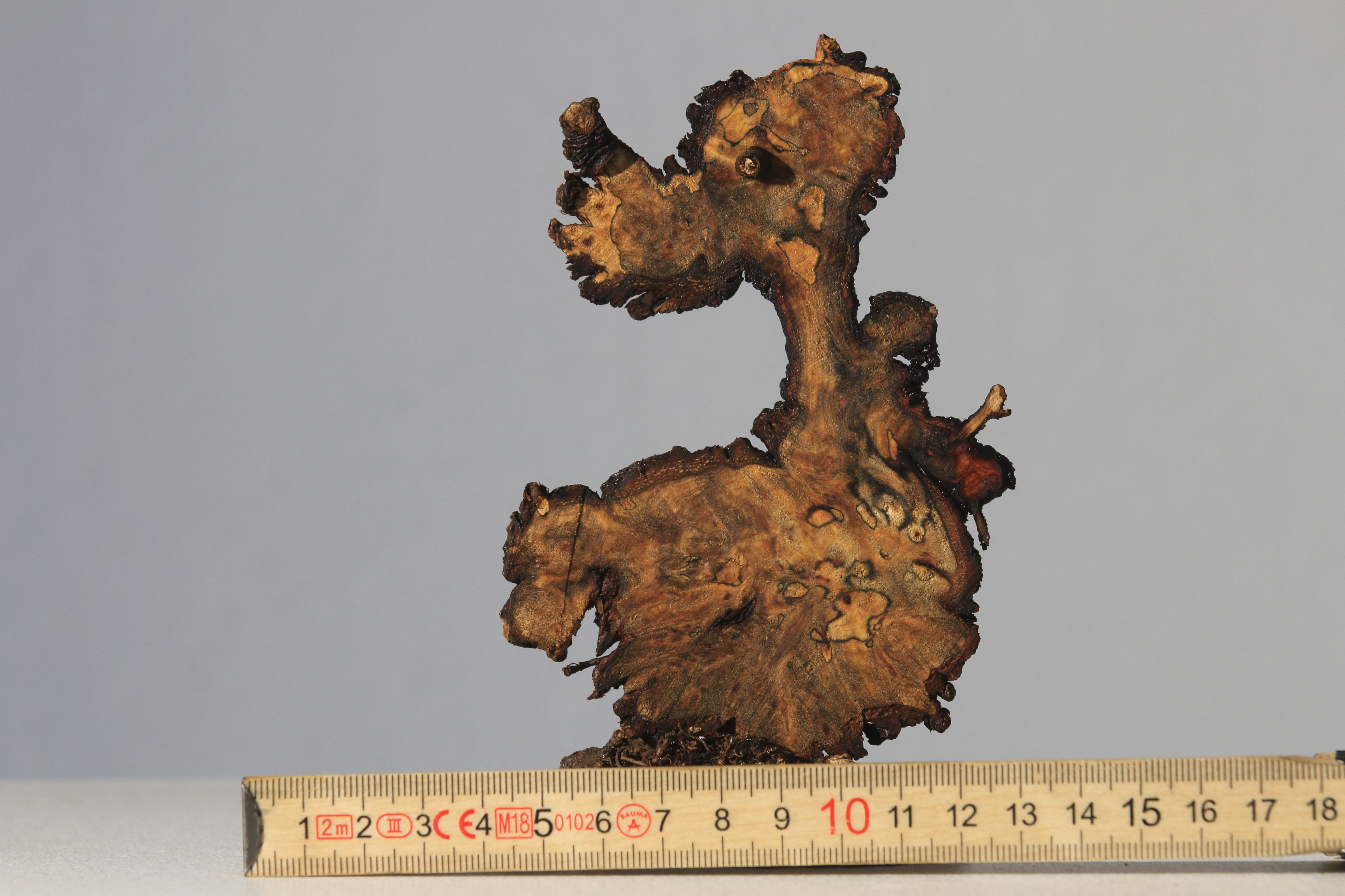 wooddog_03