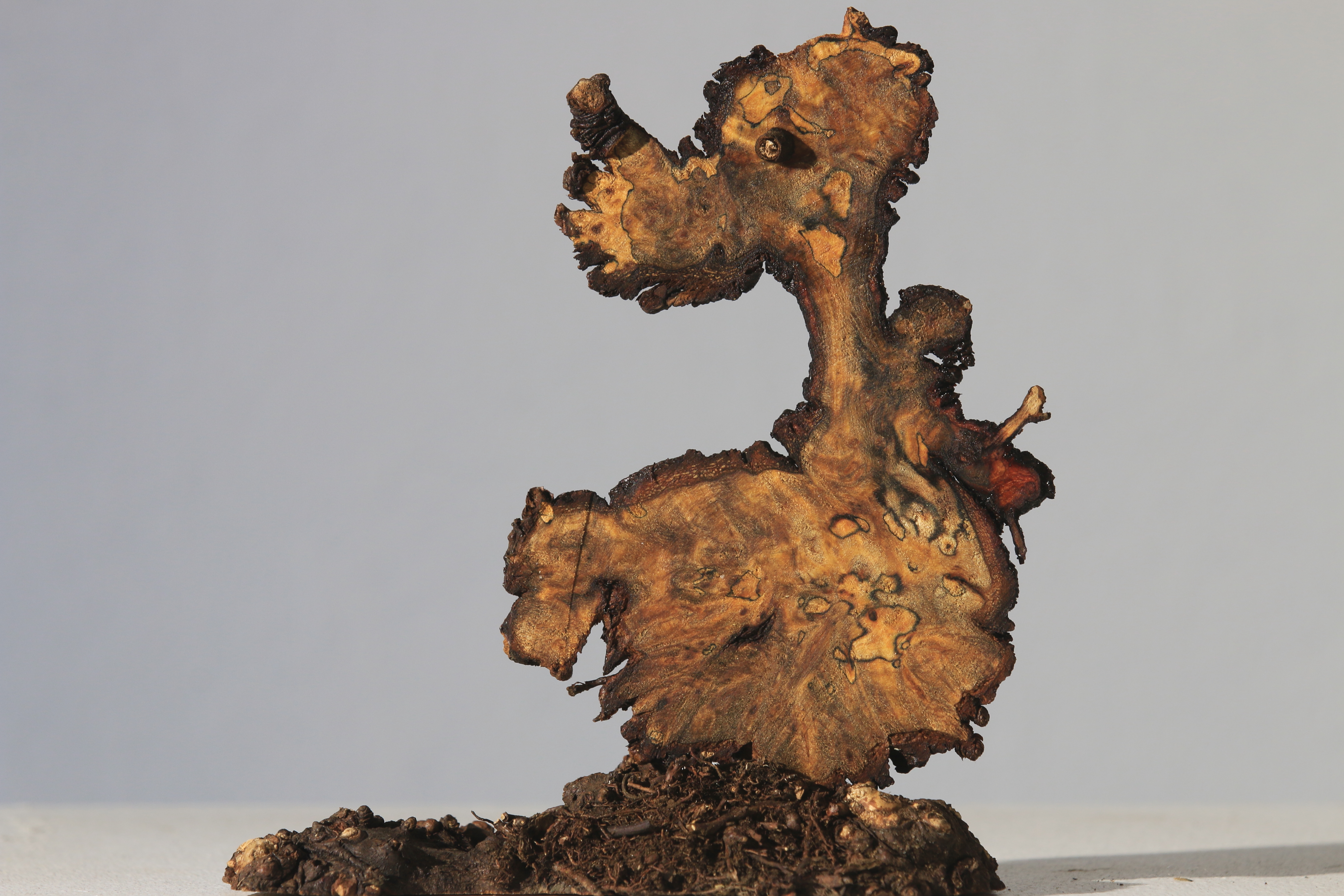 wooddog_04